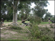 Ivanhoe Wind Damage April 2008 - 1.jpg